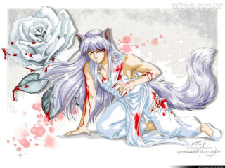 Woman long hair white dress - blood free wallpaper for desktop