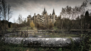 Castle forest pipe gothic architecture - tree in front free wallpaper