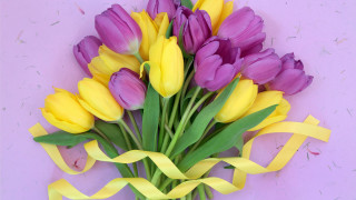 Purple yellow tulips yellow ribbon - a bouquet free wallpaper