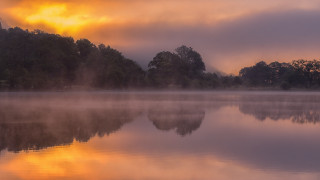 Lake foggy sky trees cityscape - mist free wallpaper