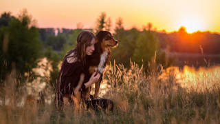 Woman dog sunset field trees - the sun setting behind her free wallpaper