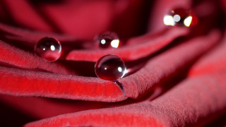 Red cloth water droplets macro - a red cloth free wallpaper