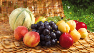 Sunny fruit stilllife wicker watermelon - other fruit free wallpaper