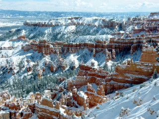 Snowy mountain trees horizon beach - a mountain in the background and trees free wallpaper