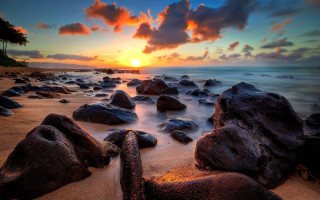 Sunset rocky beach forest orange - a sunset over a rocky beach free wallpaper