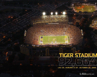 Stadium crowd night tiger sign - the middle of the picture free wallpaper