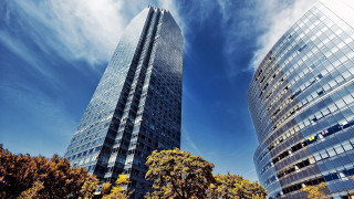 Tall buildings trees blue sky - tree in front free wallpaper
