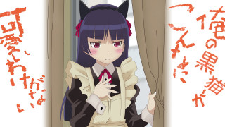 Woman cat suit window ears - a cat ear free wallpaper