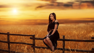 Woman fence wheat sunset blackhair - sunset time free wallpaper