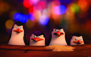 Penguins googly eyes bright background - dramatic cinematic lighting free wallpaper for desktop