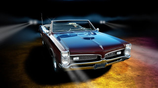 Car dog spotlight photorealism airbrush - a spotlight free wallpaper for desktop