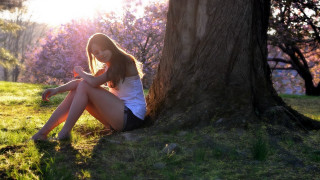 Woman sitting tree cellphone autumn - free spring wallpaper