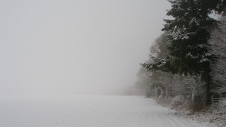 Snowy road fence forest girls - in the foreground free wallpaper
