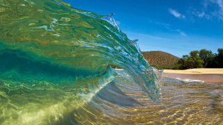 Wave beach sky trees ocean - over a beach free wallpaper