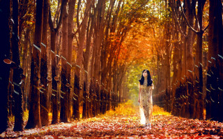 Woman forest dress leaves autumn - chen rong free wallpaper