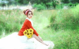 Woman sunflower red sweater white - a sunflower free wallpaper