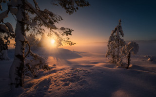 Snowy landscape trees sunset matte - magic realism free wallpaper
