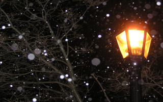 Street light snow night falling - the ground and trees free wallpaper