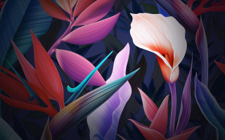 Flower leaves blue sky red - affinity photo free wallpaper