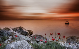 Boat rocks flowers sunset mystical - anton graff free wallpaper