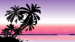 Sunset palm tree silhouette ocean - a small island in the distance free wallpaper