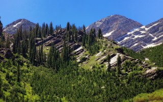Mountain forest snow blue sky 2 - the top of it free wallpaper for desktop