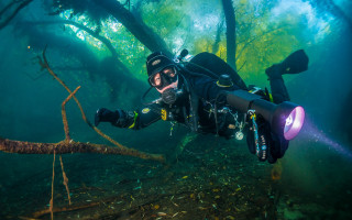 Scuba diver underwater ecological art - a scuba diver free wallpaper