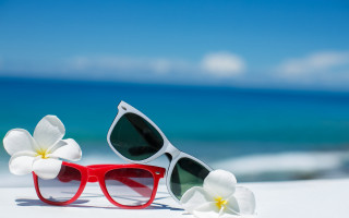 Sunglasses flower beach blue sky - the beach next free wallpaper