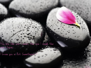 Pink flower black rocks water 3 - carol sutton free wallpaper