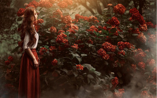 Woman red dress flower field - red flower free wallpaper for desktop