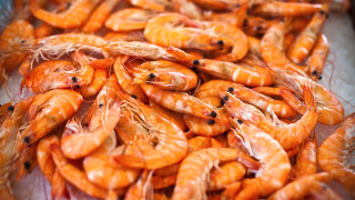 Shrimp pepperoni autumn photorealism fire - brian chippy dugan free wallpaper