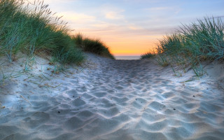 Beach sunset path grass mountain - beach free wallpaper