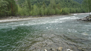 River rocks trees person nature - the background and a person free wallpaper