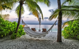 Hammock palm beach sunset ocean - two palm tree free wallpaper