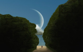 Person path trees water bird - christophe vacher free wallpaper for desktop