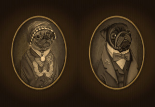 Dogs formal tuxedo illustration magic - formal free wallpaper