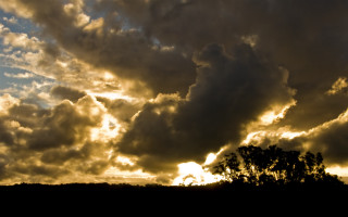 Cloudy sky trees dusk ocean 2 - a tree in the foreground free wallpaper