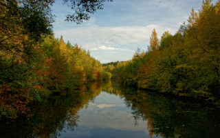 River trees forest autumn leaves - auseklis ozol free wallpaper