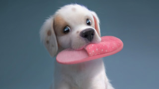 Puppy pink toy sad look - diego gisbert llorens free wallpaper