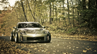 Car forest road leaves tilt - glossy free wallpaper