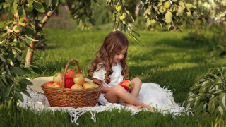Little girl apples basket nature - a basket of apples free wallpaper