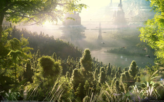 River trees birds bridge sunlight - tree and birds free wallpaper