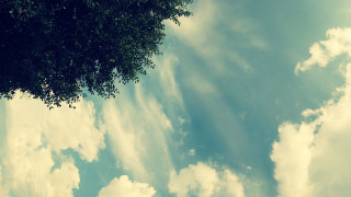 Kite cloudy blue sky tree - a kite free wallpaper