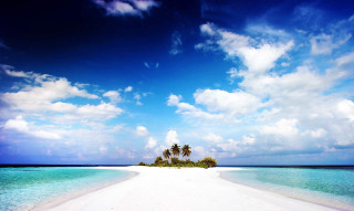 Deserted beach palm tree blue 2 - a white sand beach free wallpaper for desktop