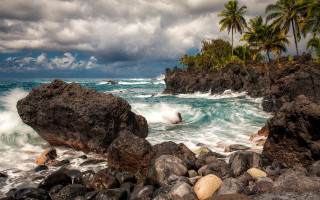 Rocky beach waves palm trees - a rocky beach free wallpaper