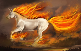 White horse flames autumn dusk - flame free wallpaper