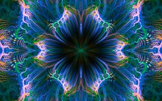 Kaleiki colorful psychedelic flowers nature - psychedelic free wallpaper for desktop