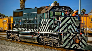 Train people palm tree yellow 2 - a bunch of people free wallpaper