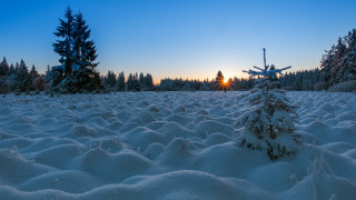 Snowy field trees sunset blue - tree and a sun free wallpaper