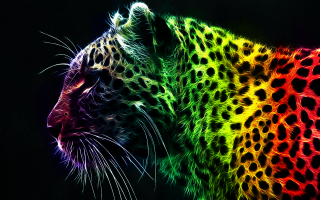 Colorful leopard black background rainbow - psychedelic free wallpaper for desktop